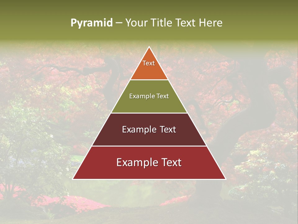 Tree With Red Leaves PowerPoint Template