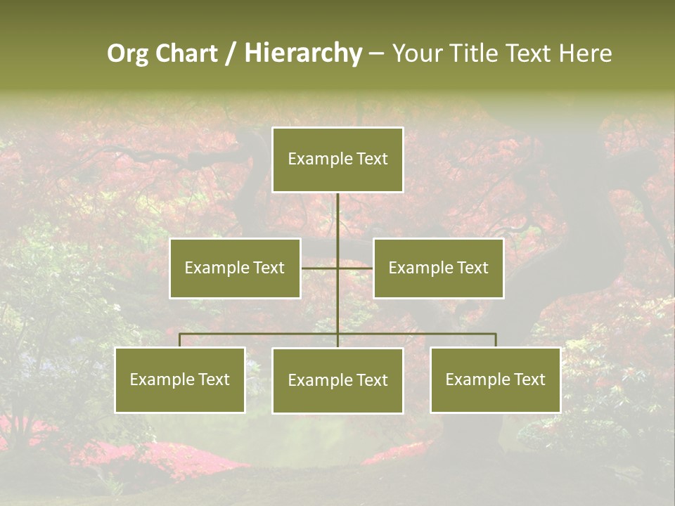 Tree With Red Leaves PowerPoint Template