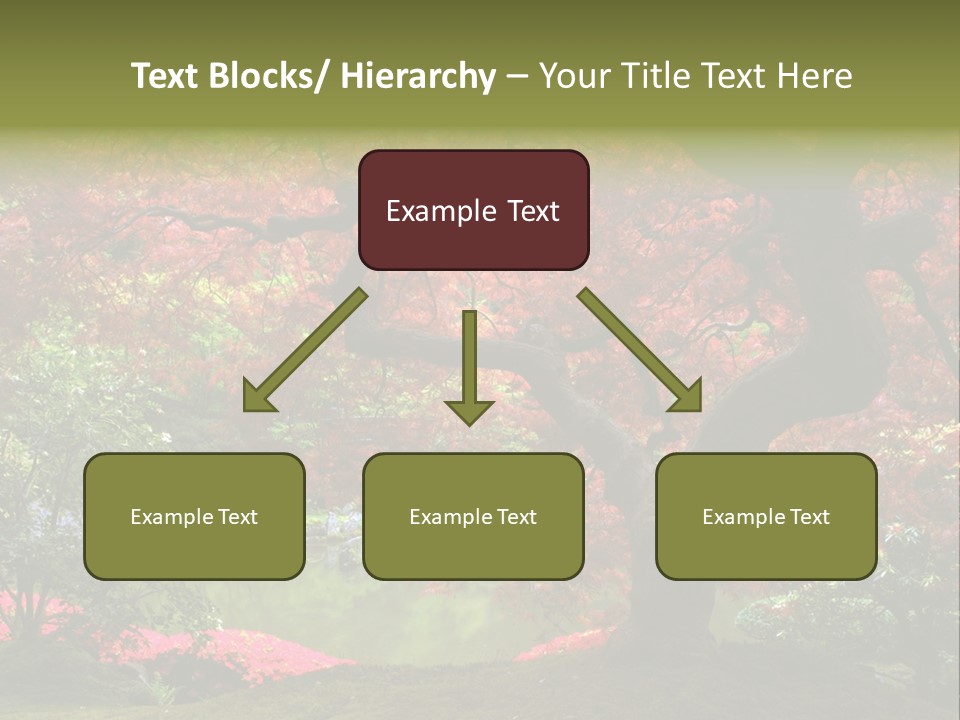 Tree With Red Leaves PowerPoint Template