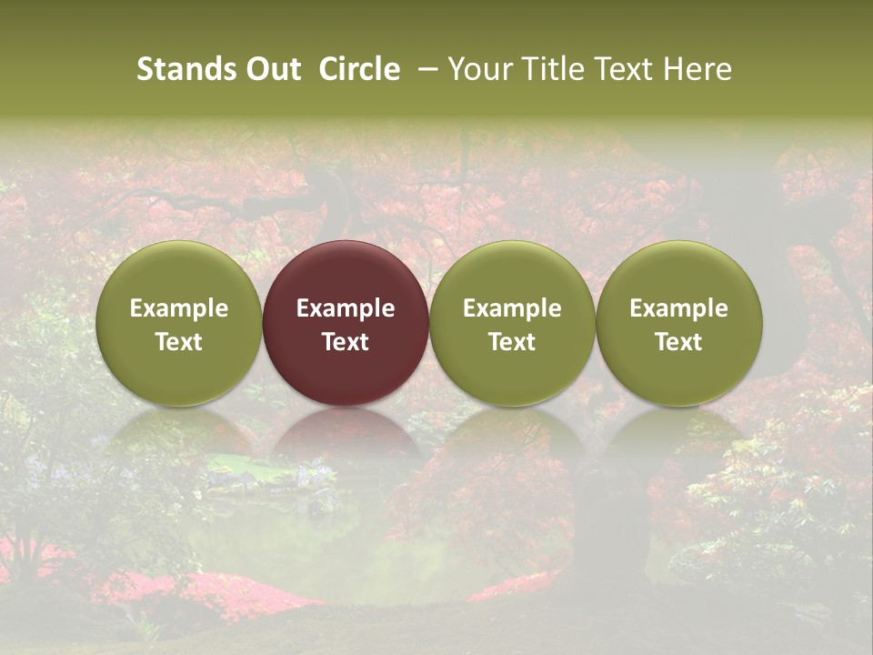 Tree With Red Leaves PowerPoint Template