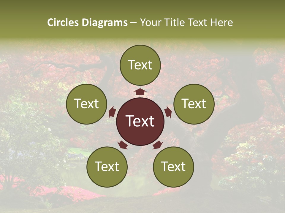 Tree With Red Leaves PowerPoint Template