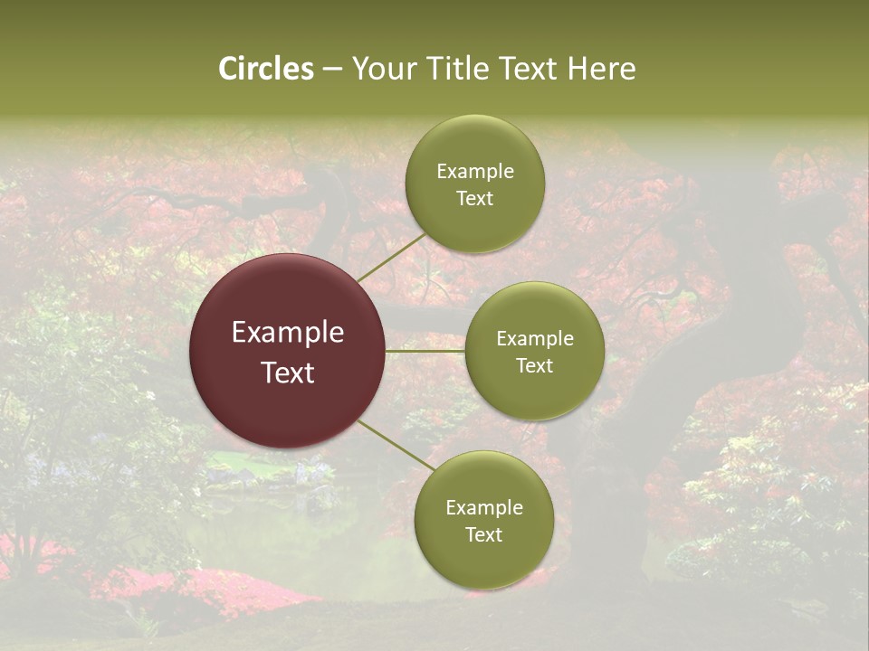 Tree With Red Leaves PowerPoint Template