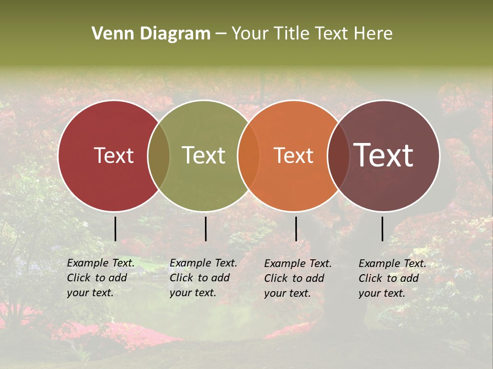 Tree With Red Leaves PowerPoint Template