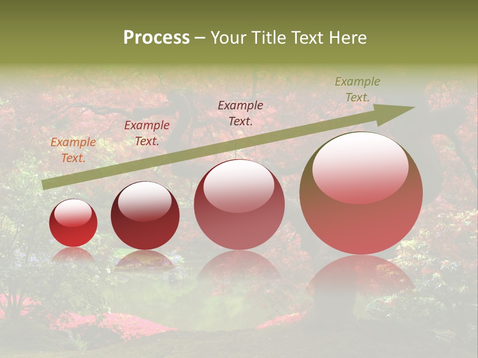 Tree With Red Leaves PowerPoint Template