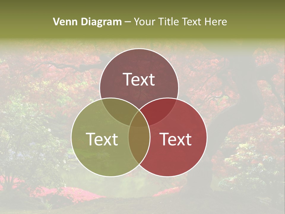 Tree With Red Leaves PowerPoint Template