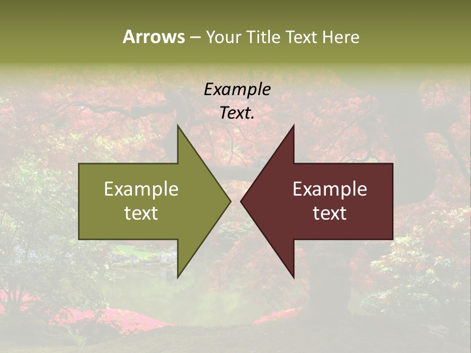 Tree With Red Leaves PowerPoint Template