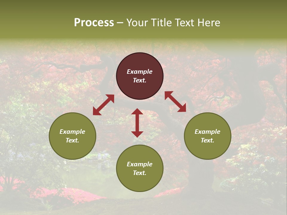 Tree With Red Leaves PowerPoint Template