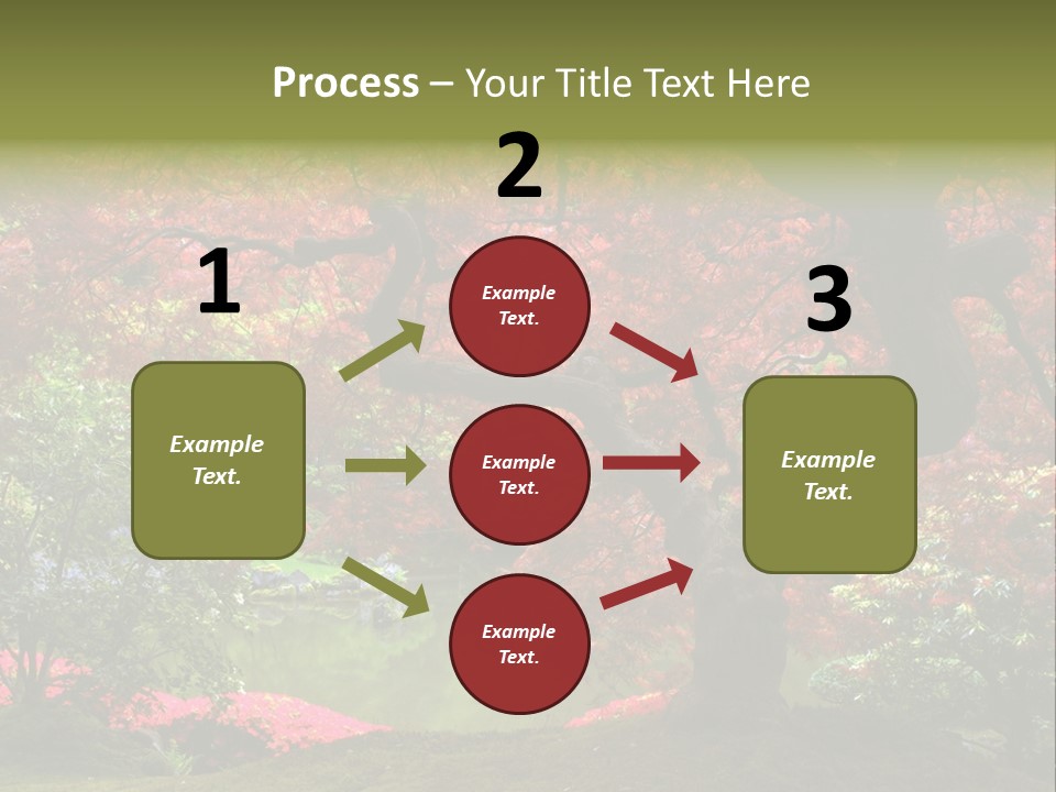 Tree With Red Leaves PowerPoint Template