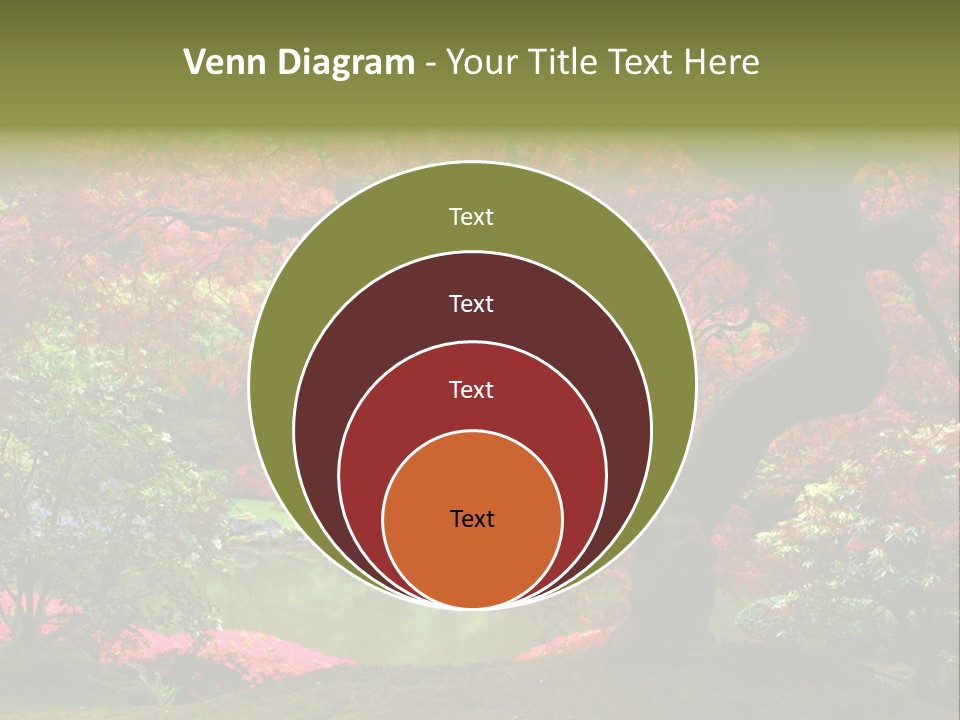 Tree With Red Leaves PowerPoint Template