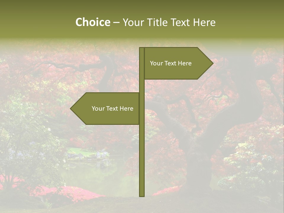 Tree With Red Leaves PowerPoint Template