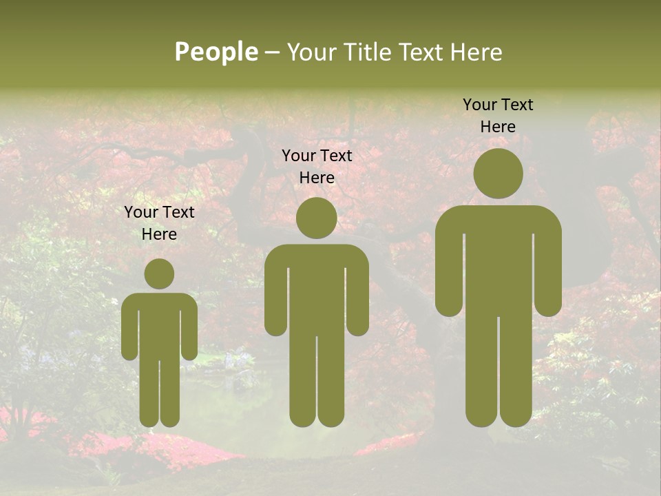 Tree With Red Leaves PowerPoint Template