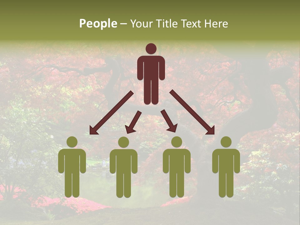 Tree With Red Leaves PowerPoint Template