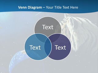 Space Lion PowerPoint Template