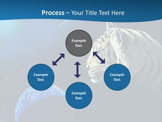 Space Lion PowerPoint Template