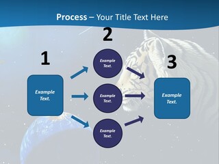Space Lion PowerPoint Template