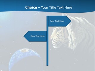 Space Lion PowerPoint Template