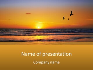 Two Birds Flying Over The Ocean At Sunset PowerPoint Template