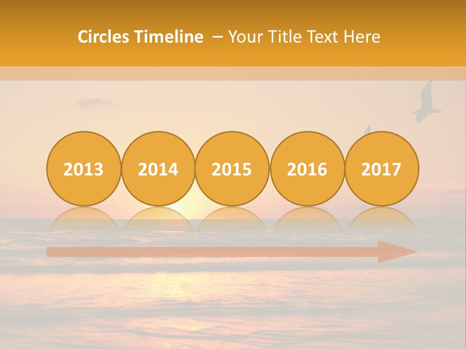 Two Birds Flying Over The Ocean At Sunset PowerPoint Template