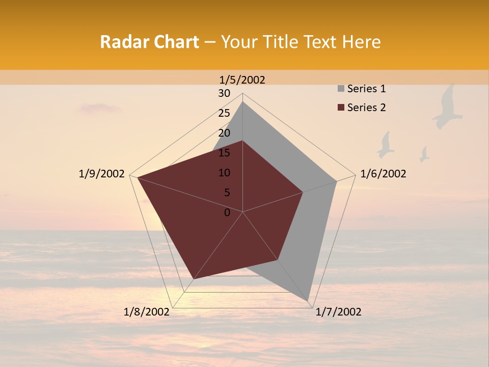 Two Birds Flying Over The Ocean At Sunset PowerPoint Template