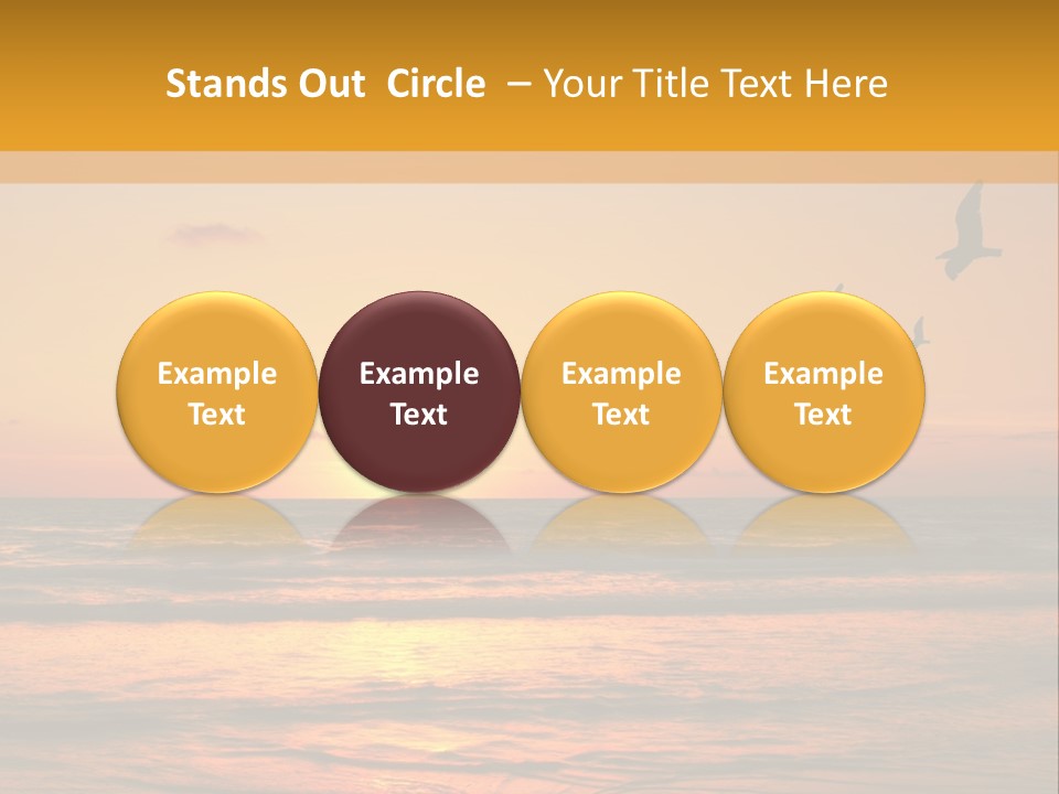 Two Birds Flying Over The Ocean At Sunset PowerPoint Template