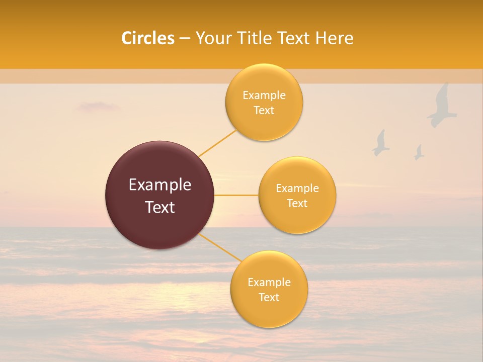 Two Birds Flying Over The Ocean At Sunset PowerPoint Template