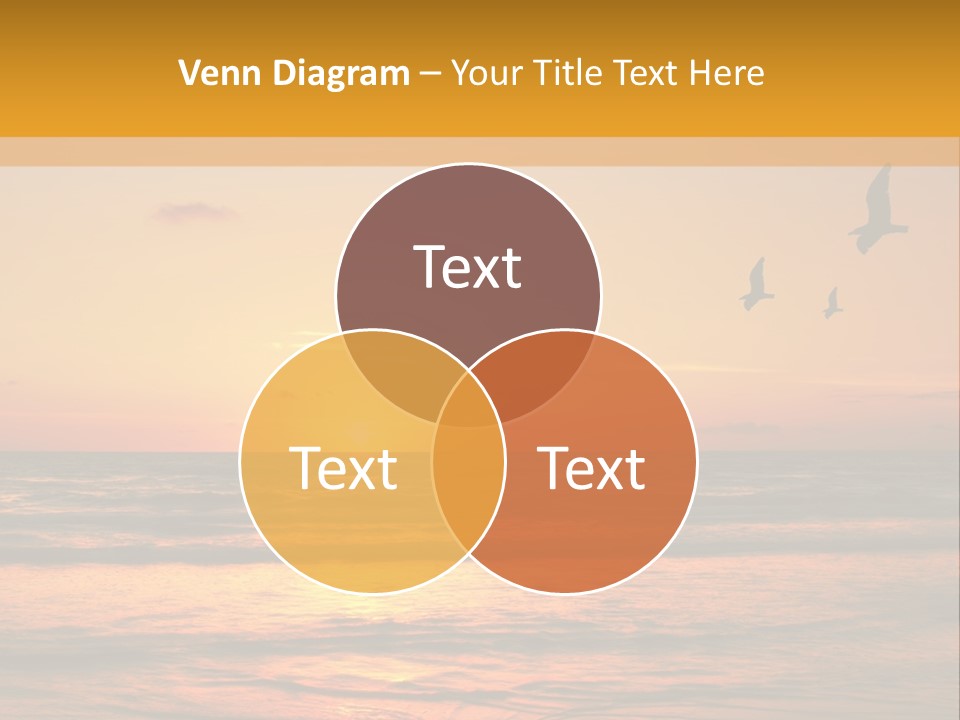 Two Birds Flying Over The Ocean At Sunset PowerPoint Template