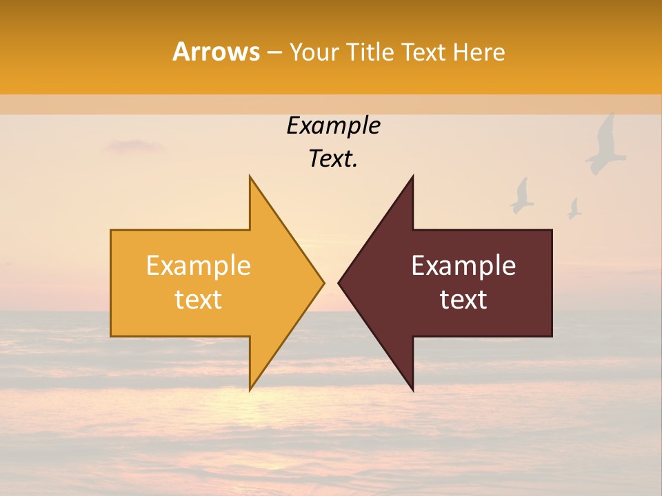 Two Birds Flying Over The Ocean At Sunset PowerPoint Template