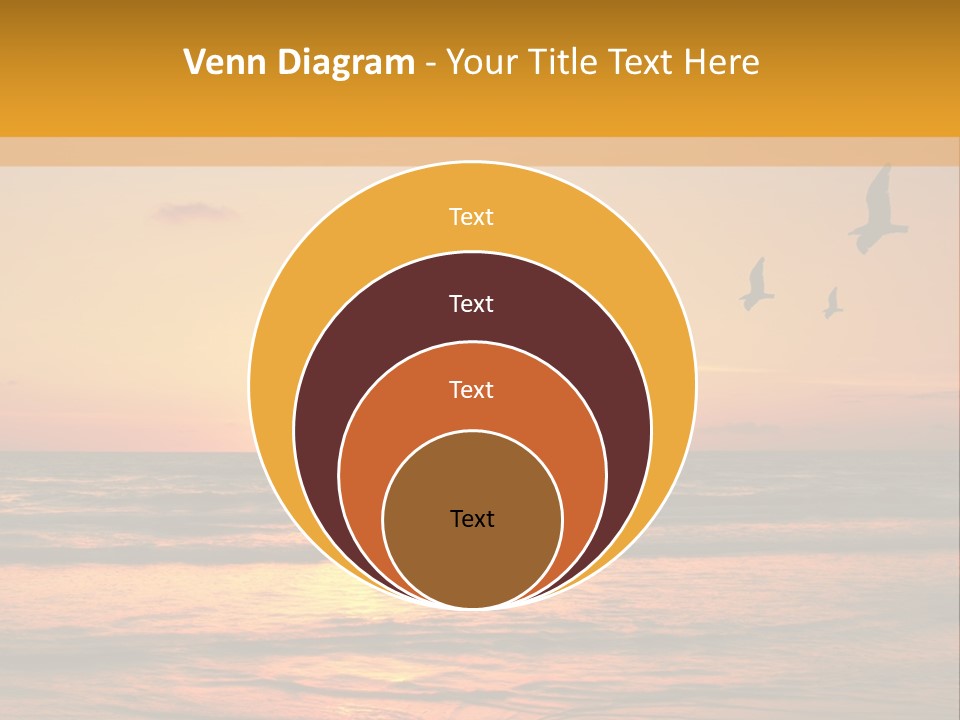 Two Birds Flying Over The Ocean At Sunset PowerPoint Template
