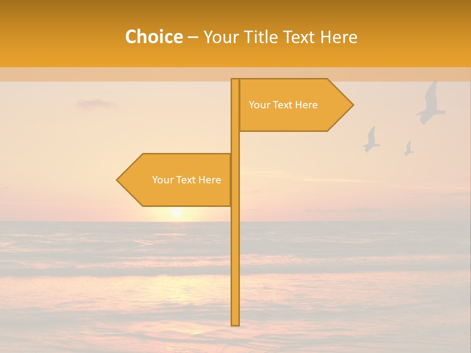 Two Birds Flying Over The Ocean At Sunset PowerPoint Template