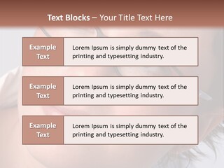 A Woman Wearing Glasses With A Brown Background PowerPoint Template