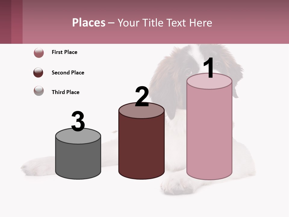 A Dog Laying Down With Its Tongue Out PowerPoint Template