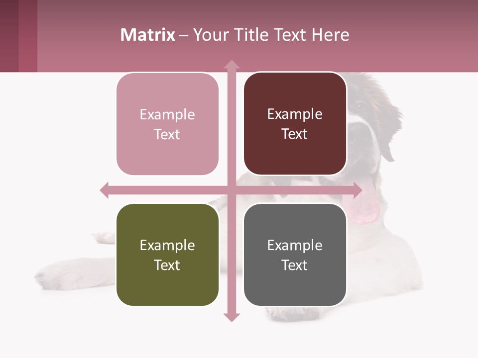 A Dog Laying Down With Its Tongue Out PowerPoint Template