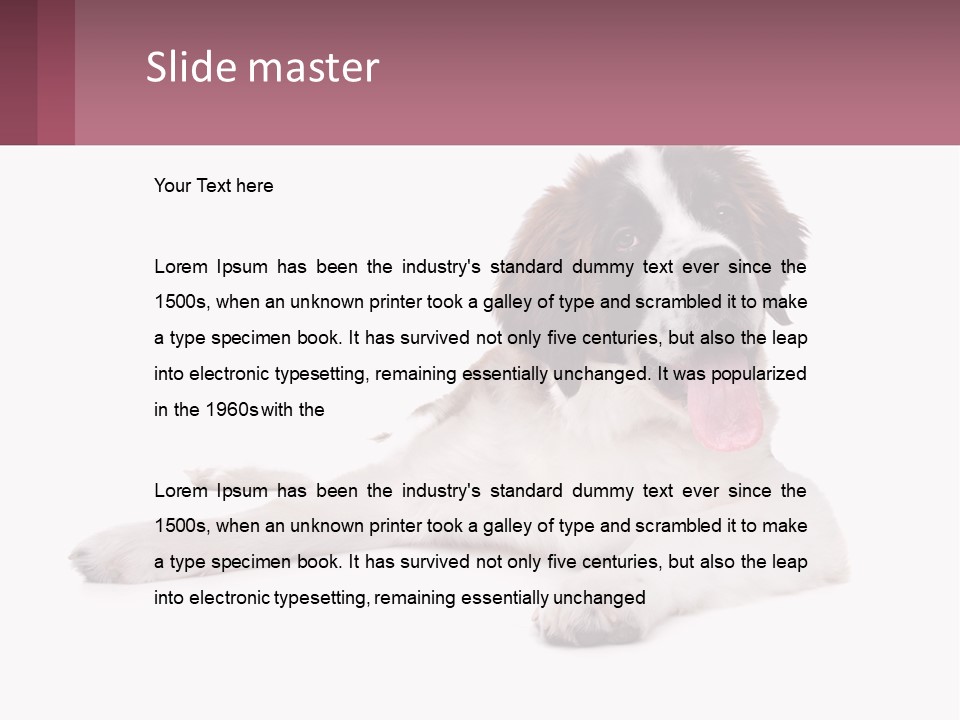 A Dog Laying Down With Its Tongue Out PowerPoint Template