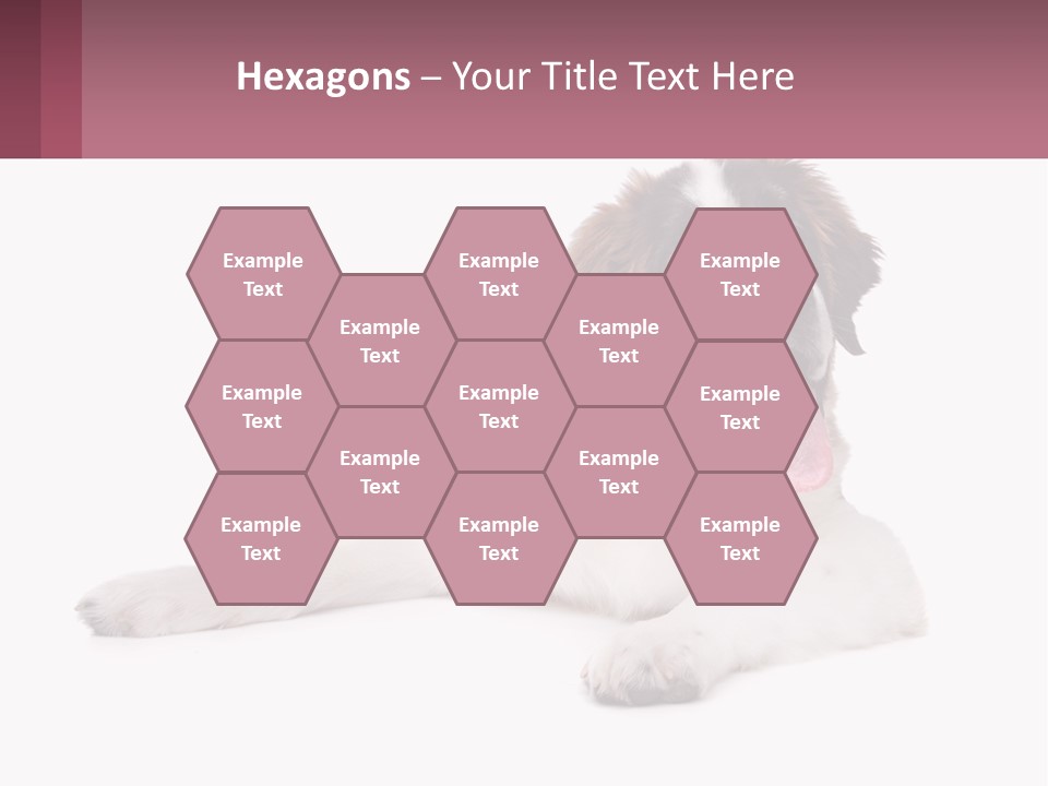 A Dog Laying Down With Its Tongue Out PowerPoint Template