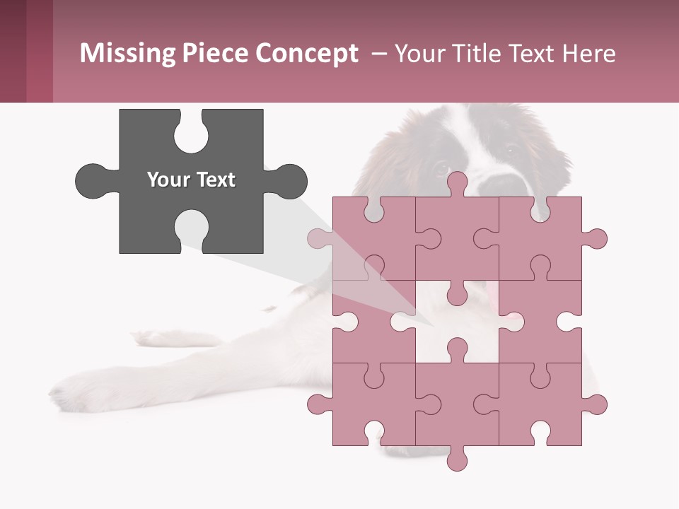 A Dog Laying Down With Its Tongue Out PowerPoint Template