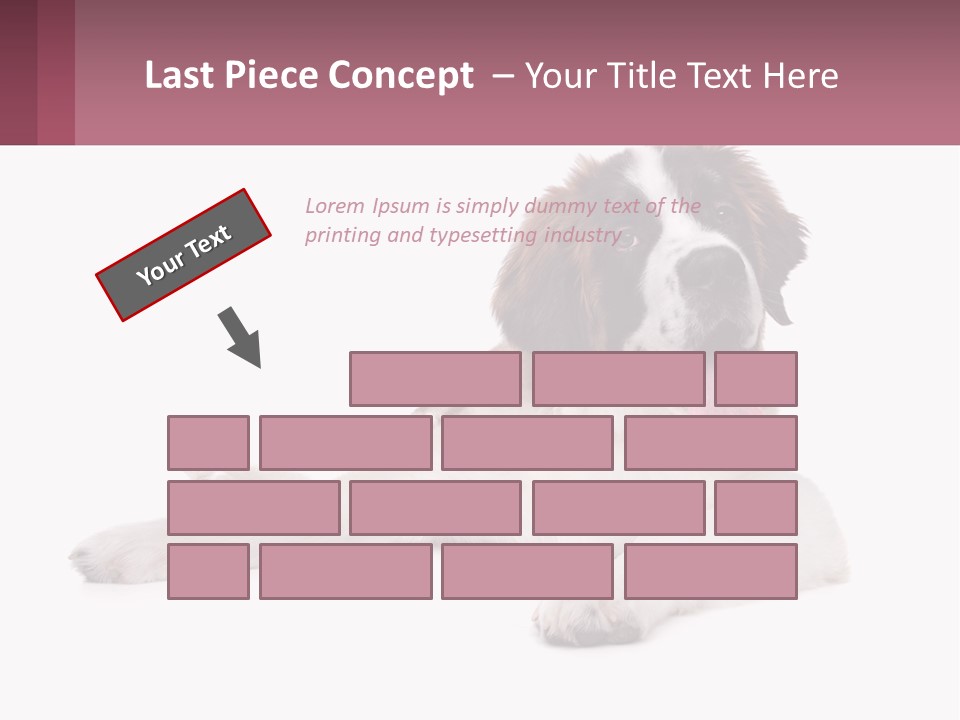 A Dog Laying Down With Its Tongue Out PowerPoint Template