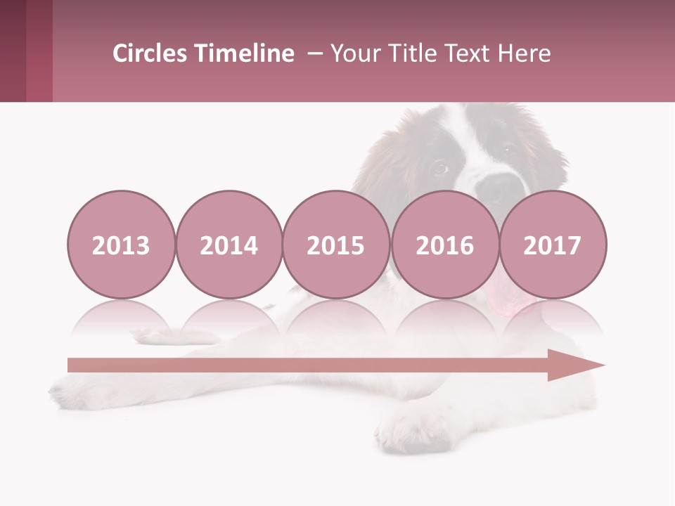 A Dog Laying Down With Its Tongue Out PowerPoint Template