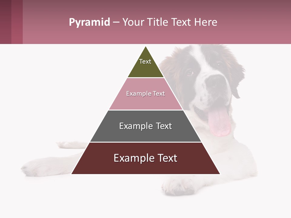 A Dog Laying Down With Its Tongue Out PowerPoint Template