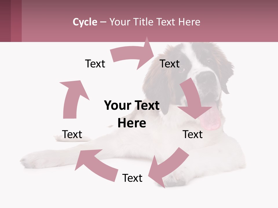 A Dog Laying Down With Its Tongue Out PowerPoint Template