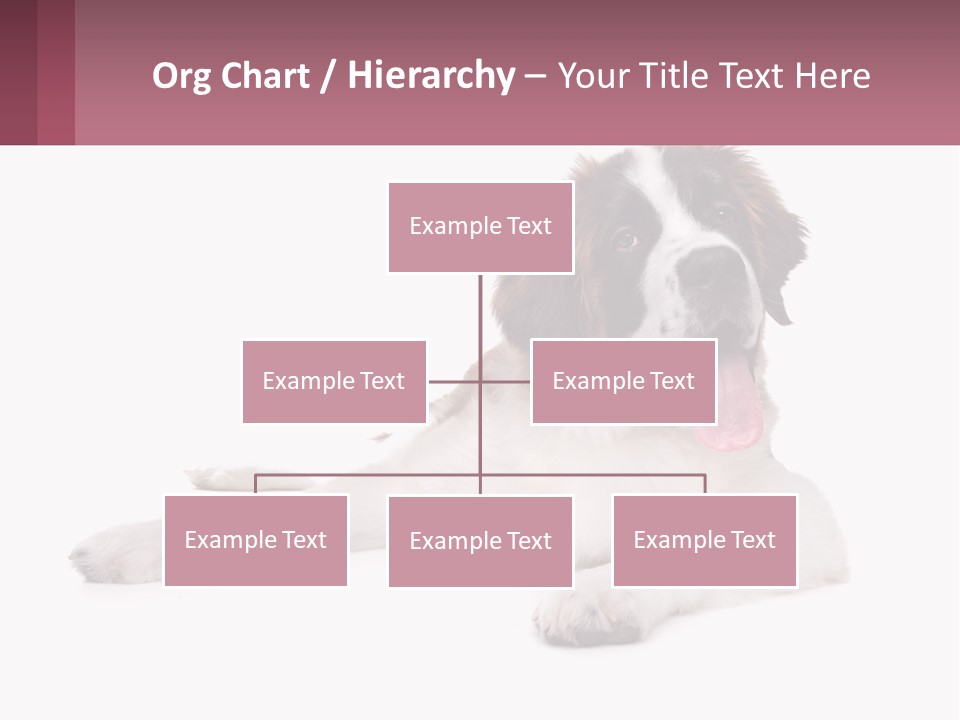 A Dog Laying Down With Its Tongue Out PowerPoint Template