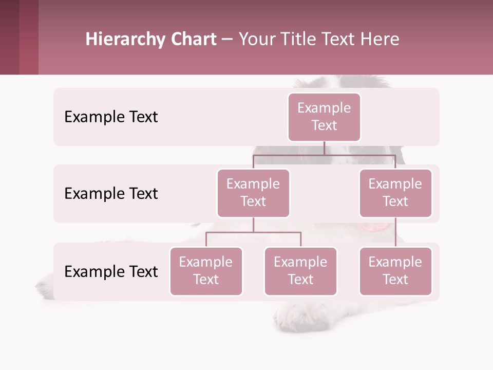 A Dog Laying Down With Its Tongue Out PowerPoint Template