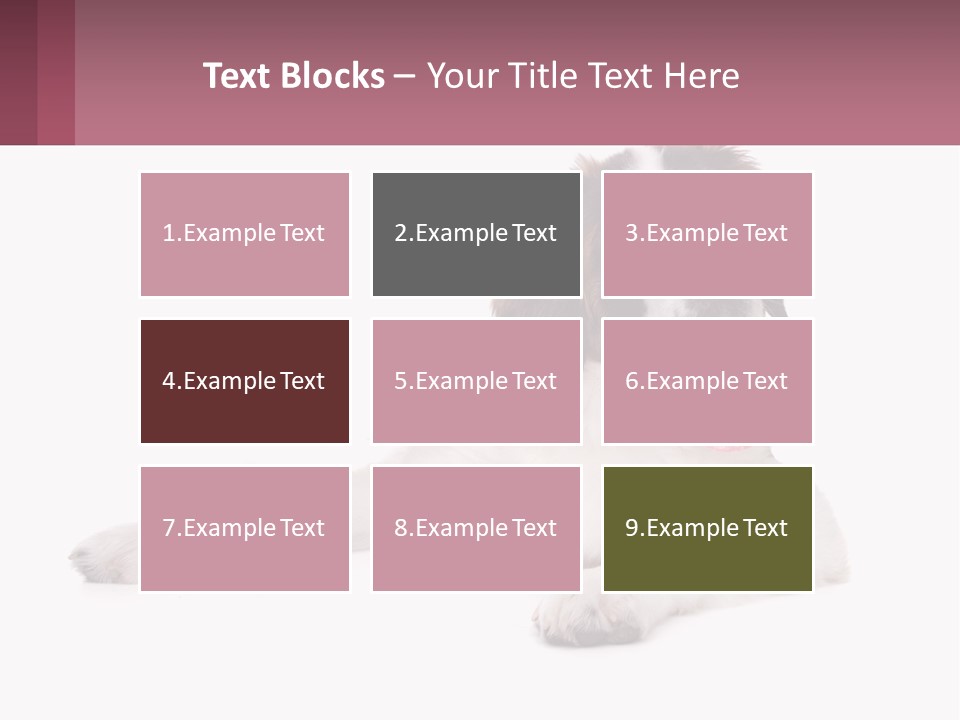 A Dog Laying Down With Its Tongue Out PowerPoint Template