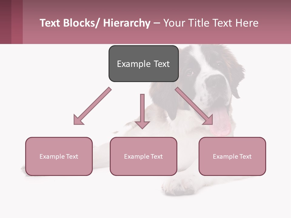 A Dog Laying Down With Its Tongue Out PowerPoint Template