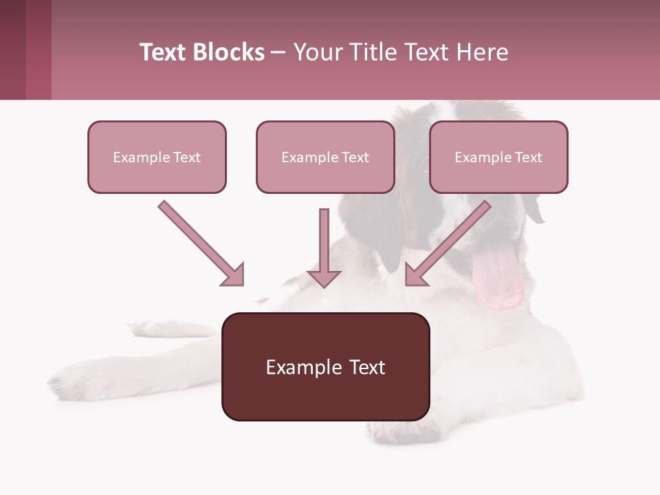 A Dog Laying Down With Its Tongue Out PowerPoint Template