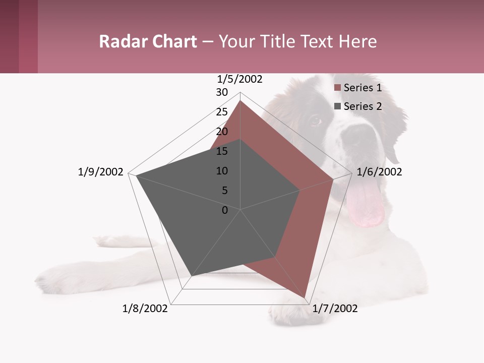 A Dog Laying Down With Its Tongue Out PowerPoint Template