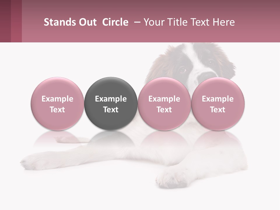 A Dog Laying Down With Its Tongue Out PowerPoint Template