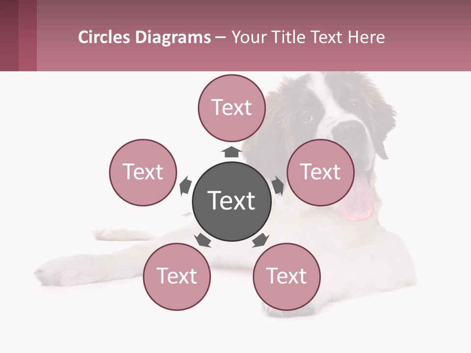 A Dog Laying Down With Its Tongue Out PowerPoint Template