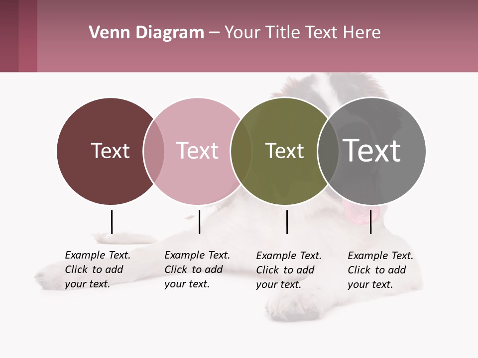 A Dog Laying Down With Its Tongue Out PowerPoint Template