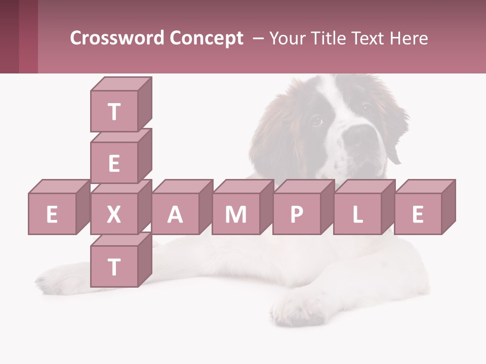 A Dog Laying Down With Its Tongue Out PowerPoint Template