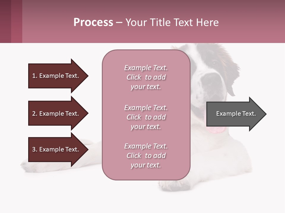 A Dog Laying Down With Its Tongue Out PowerPoint Template